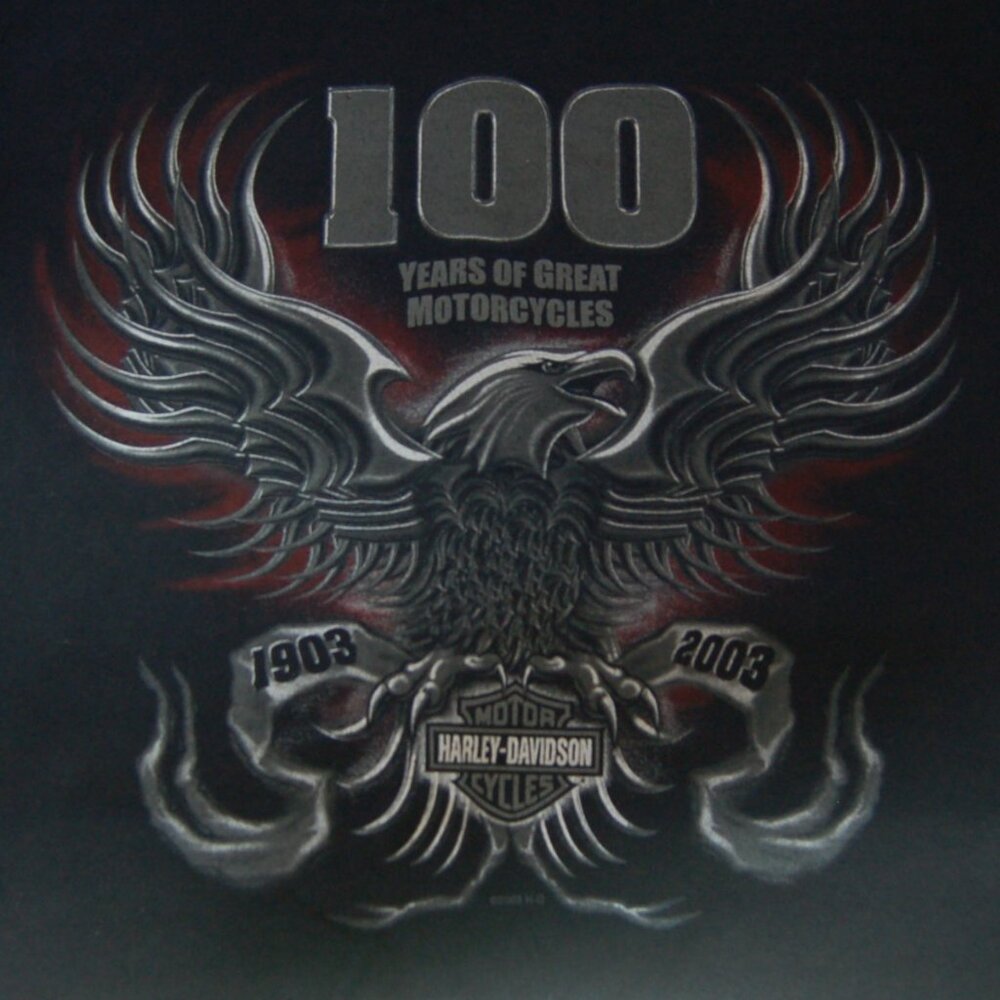 Vintage Men's Harley Davidson t-shirt Black 100 year anniversary medium